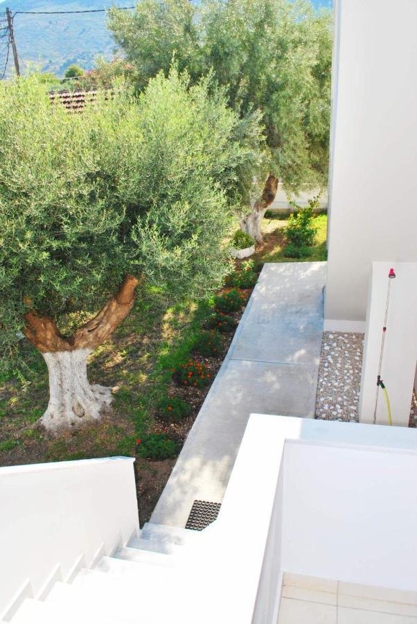 Q Luxury Rooms Paleros Exterior photo